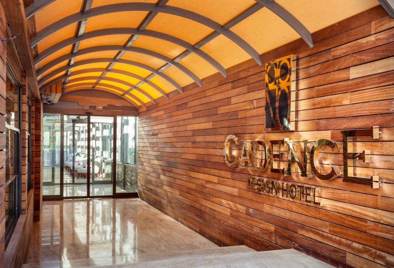 Cadence Design 3* Ankara
